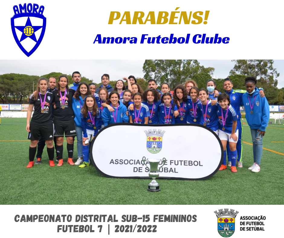 Jogo do Amora FC nas meias finais da Taça de Portugal Feminina com apoio  solidário para animais - Diário do Distrito